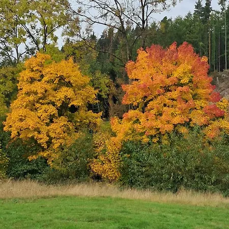 Alte Oelmuehle Im Eg 