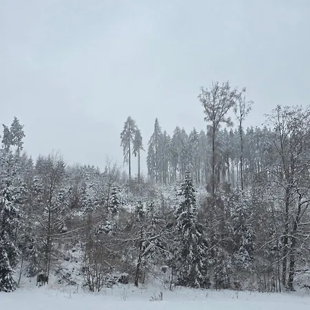Alte Oelmuehle Im Eg 