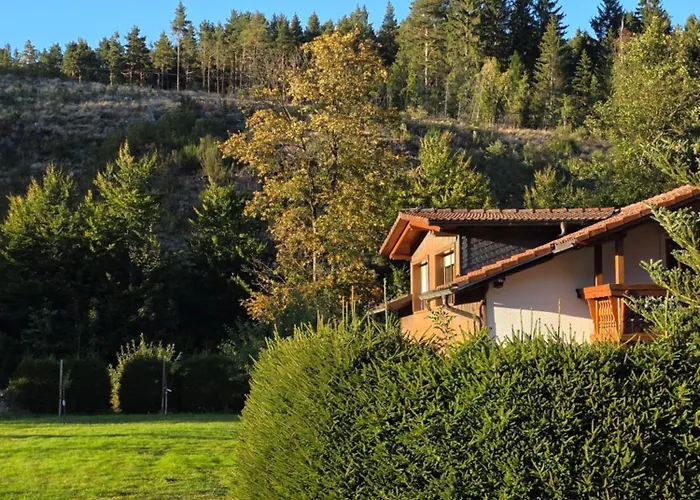 Alte Oelmuehle Im Eg 