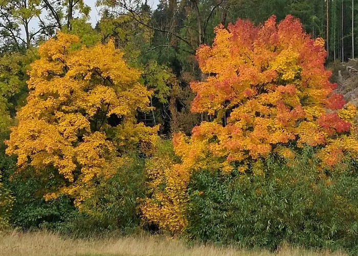 Alte Oelmuehle Im Eg 