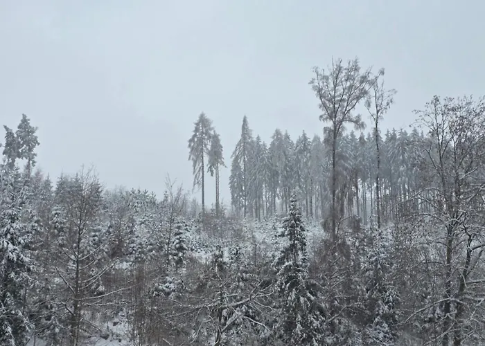 Alte Oelmuehle Im Eg 